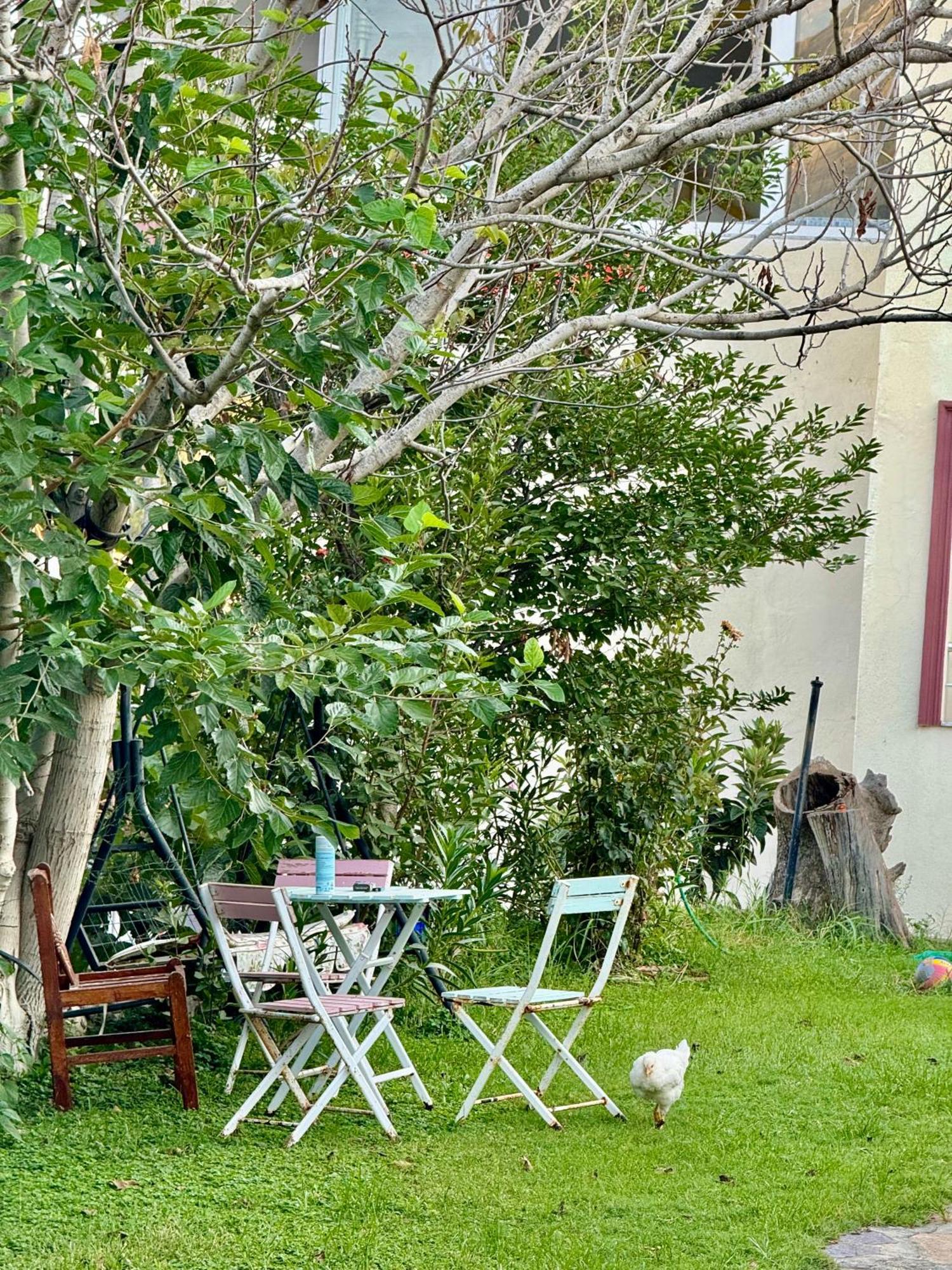 Rose Hotel B&B Patara Esterno foto