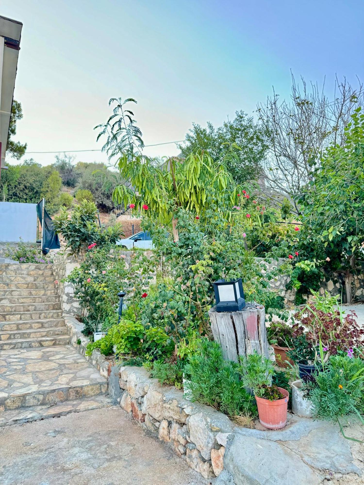 Rose Hotel B&B Patara Esterno foto