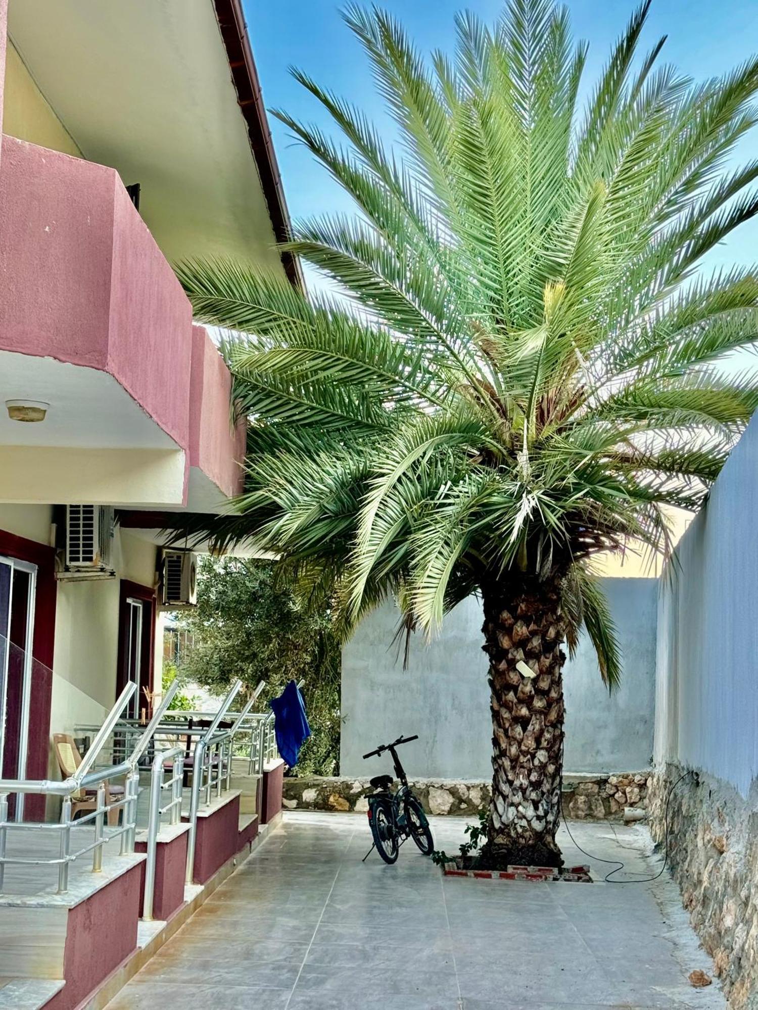 Rose Hotel B&B Patara Esterno foto