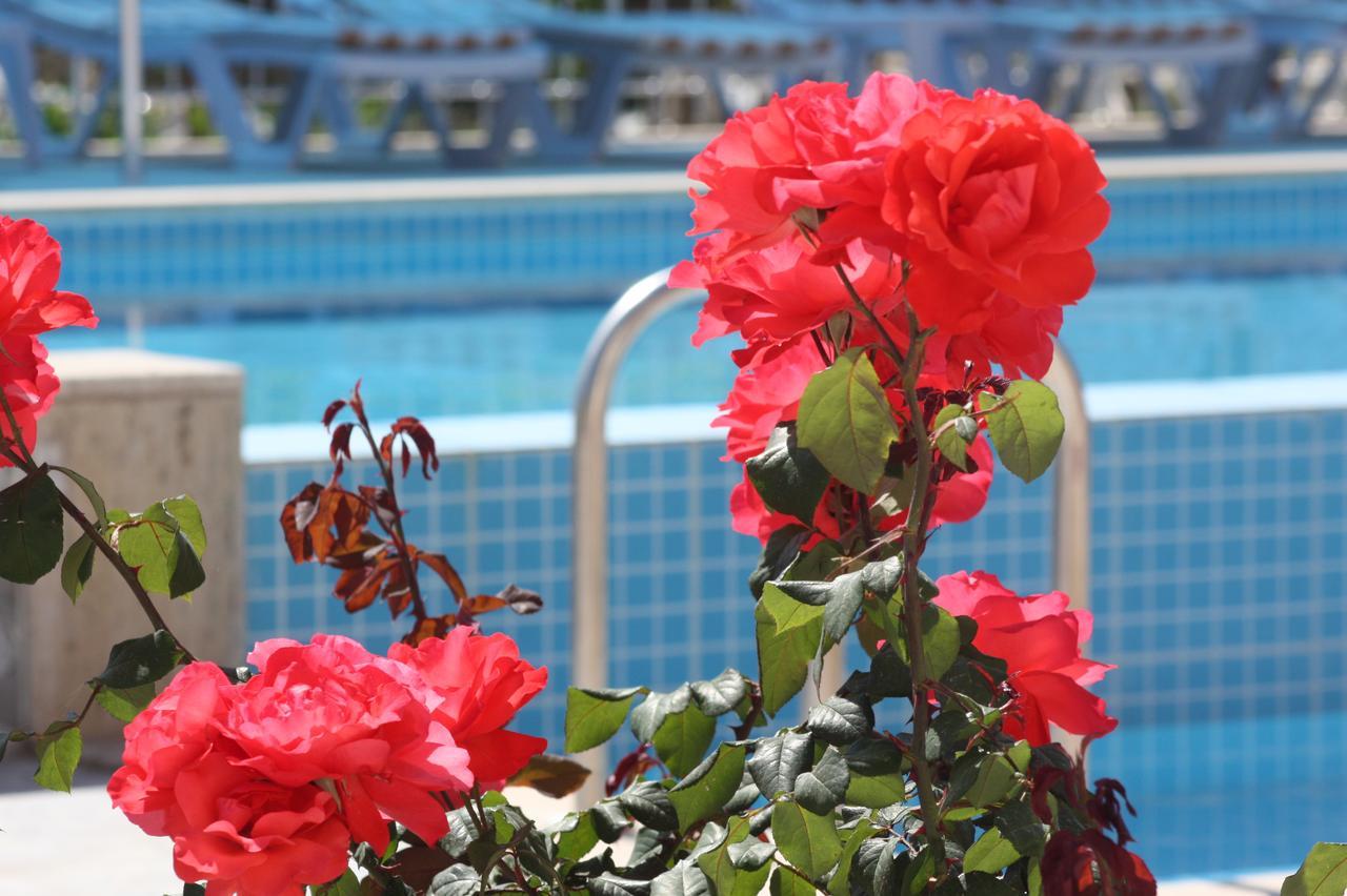 Rose Hotel B&B Patara Esterno foto